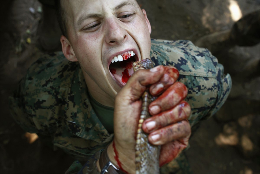 Фотография: Самые суровые армейские тренировки со всего мира №8 - BigPicture.ru