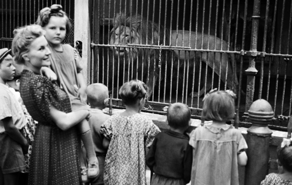 Фотография: Детки в клетке: 154 года Московскому зоопарку №17 - BigPicture.ru