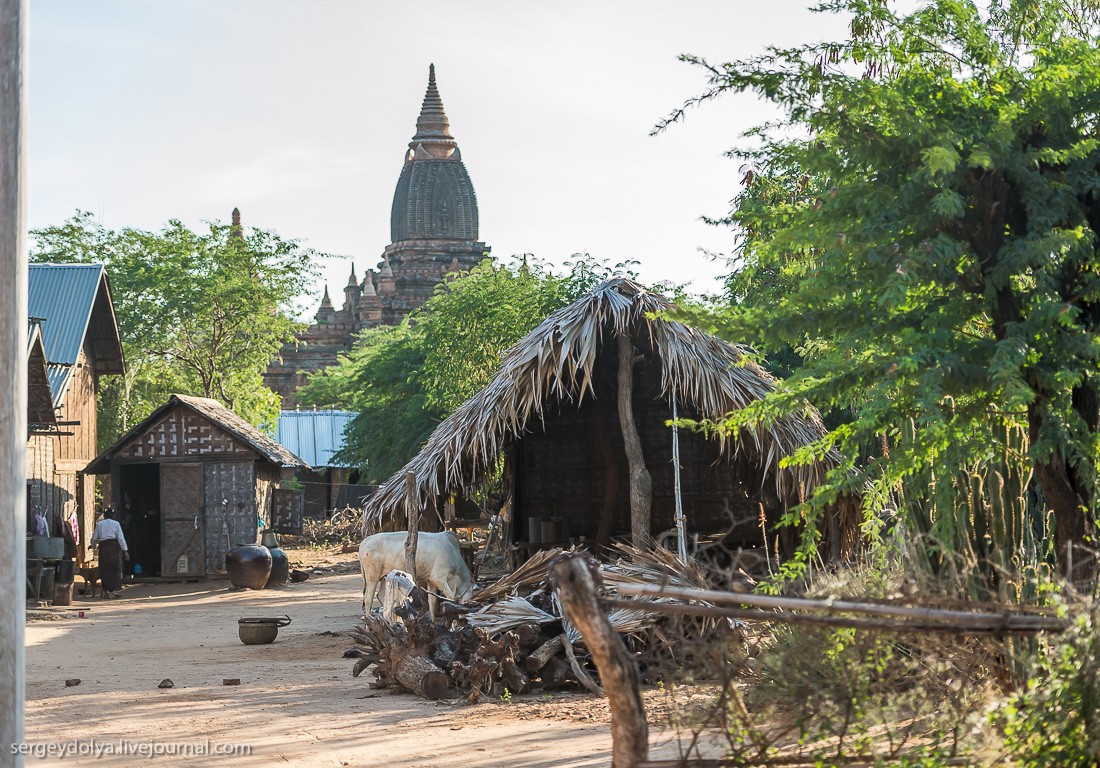 Фотография: Как живут в зажиточной деревне в Бирме? №14 - BigPicture.ru