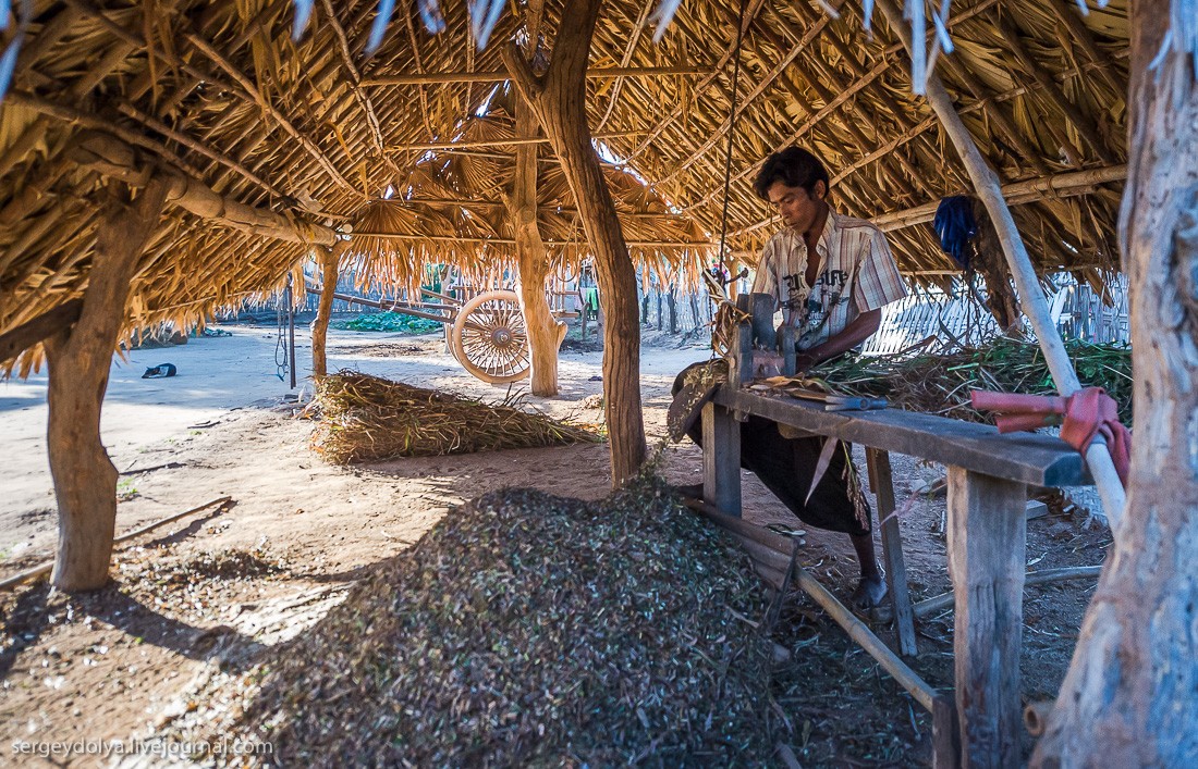 Фотография: Как живут в зажиточной деревне в Бирме? №17 - BigPicture.ru