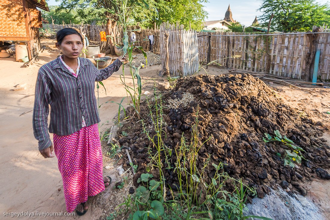 Фотография: Как живут в зажиточной деревне в Бирме? №18 - BigPicture.ru