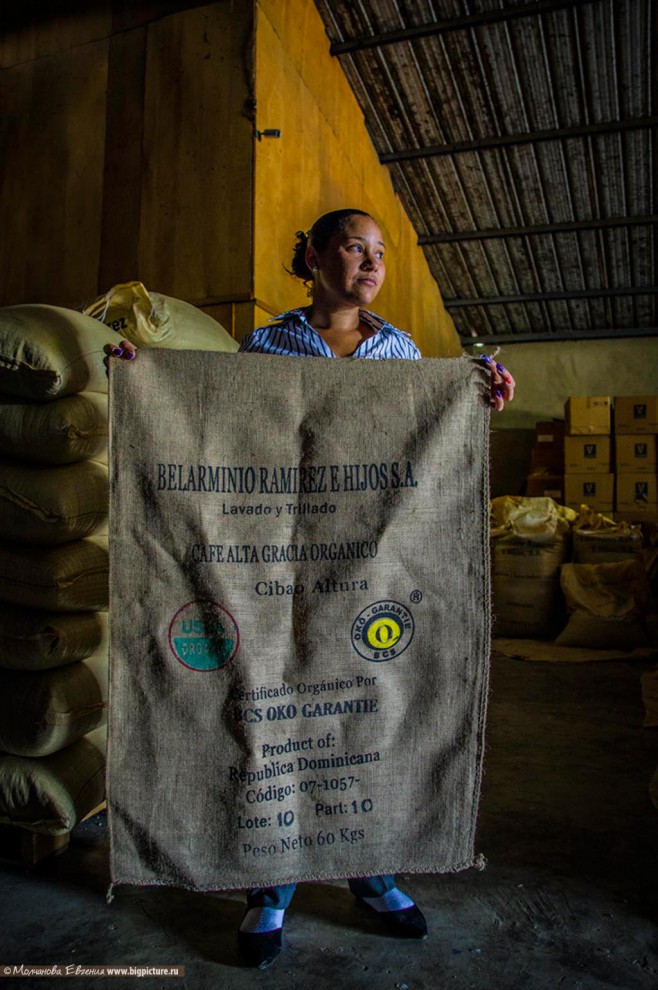 Фотография: Как устроено производство кофе в Доминикане №15 - BigPicture.ru