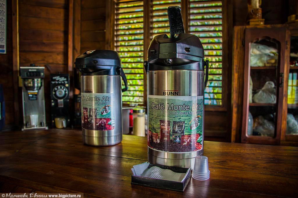 Фотография: Как устроено производство кофе в Доминикане №20 - BigPicture.ru