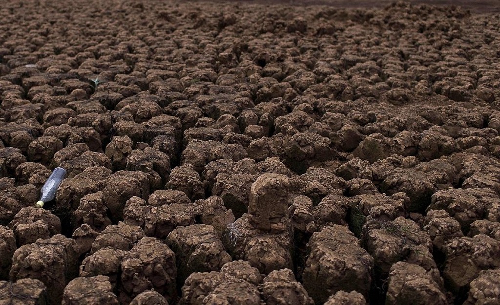 Фотография: Засуха в Бразилии №10 - BigPicture.ru