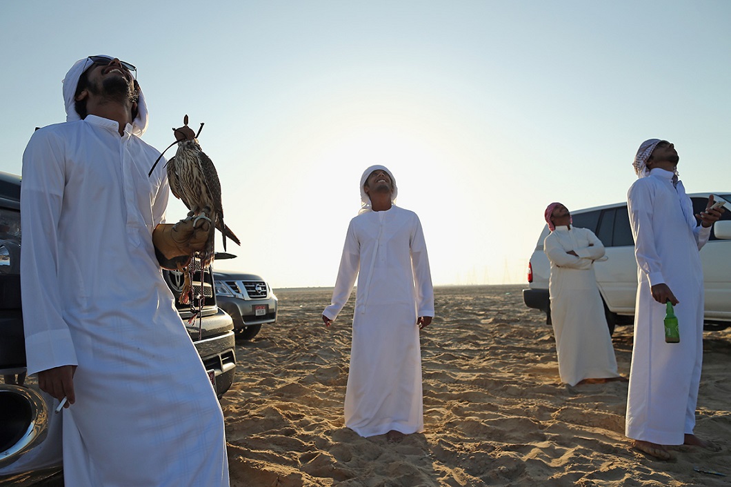 Фотография: Соколиная охота в Арабских Эмиратах №7 - BigPicture.ru