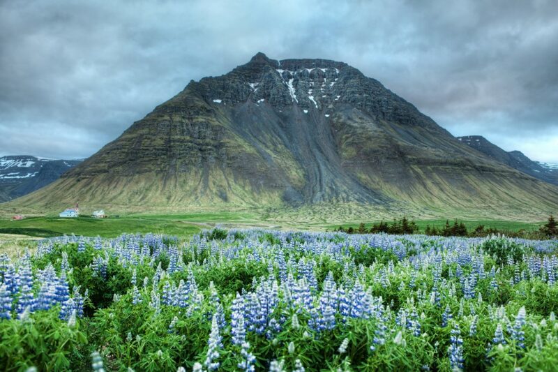 Фотография: 13 удивительных фактов об Исландии, о которых вы даже не догадывались №1 - BigPicture.ru