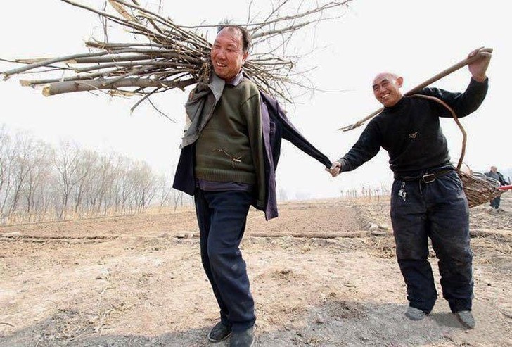 Фотография: Два китайца посадили 10 000 деревьев №2 - BigPicture.ru