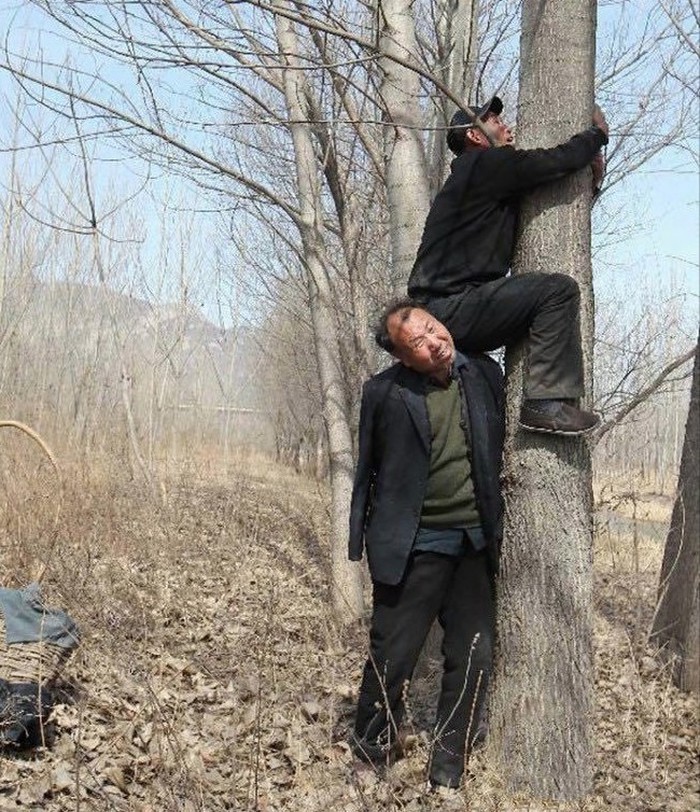 Фотография: Два китайца посадили 10 000 деревьев №5 - BigPicture.ru