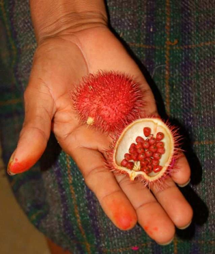 Фотография: 20 экзотических фруктов со всего света, о которых вы не слышали №21 - BigPicture.ru