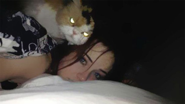 Фотография: 25 коварных кошек, задумавших тайно убить своих хозяев №13 - BigPicture.ru