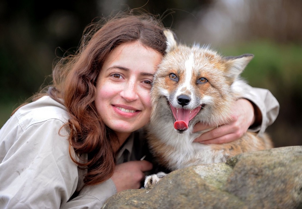 Фотография: Знакомьтесь с лисой, которая думает, что она собака №2 - BigPicture.ru