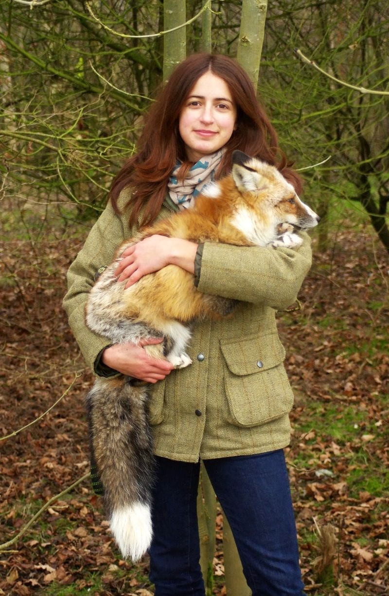 Фотография: Знакомьтесь с лисой, которая думает, что она собака №9 - BigPicture.ru