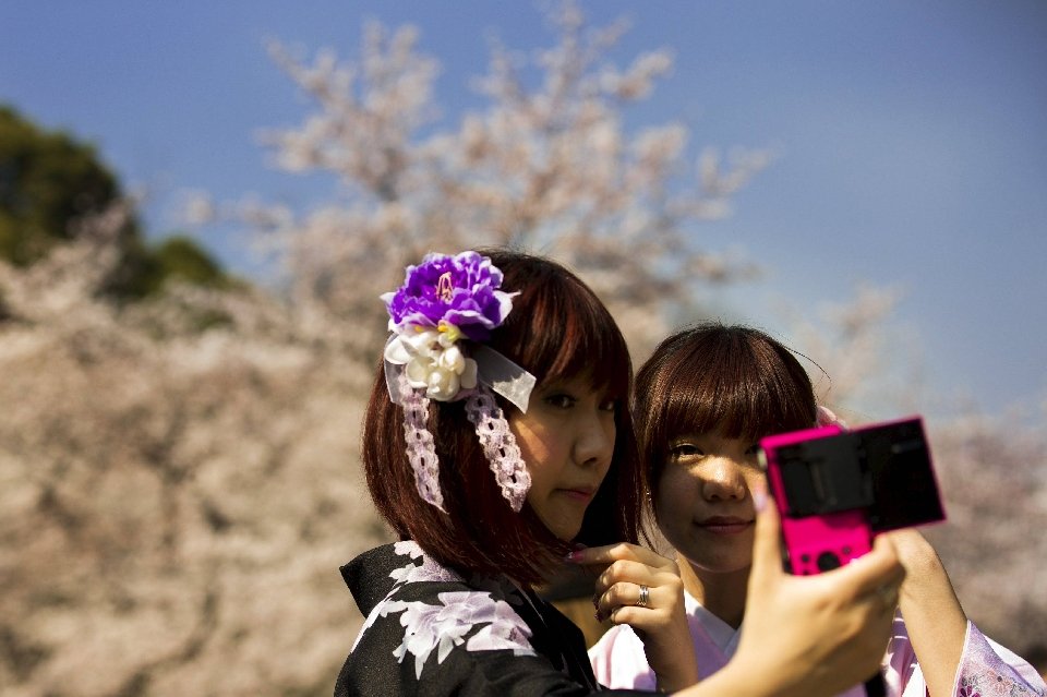 Фотография: Ханами — японская традиция любования цветущей сакурой №8 - BigPicture.ru