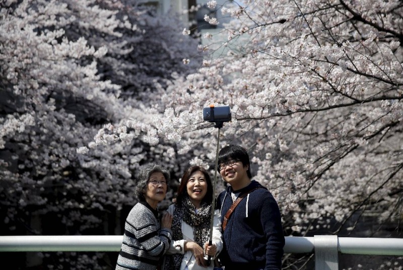 Фотография: Ханами — японская традиция любования цветущей сакурой №1 - BigPicture.ru