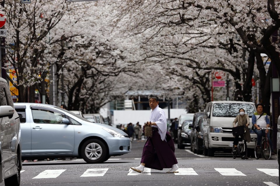 Фотография: Ханами — японская традиция любования цветущей сакурой №11 - BigPicture.ru