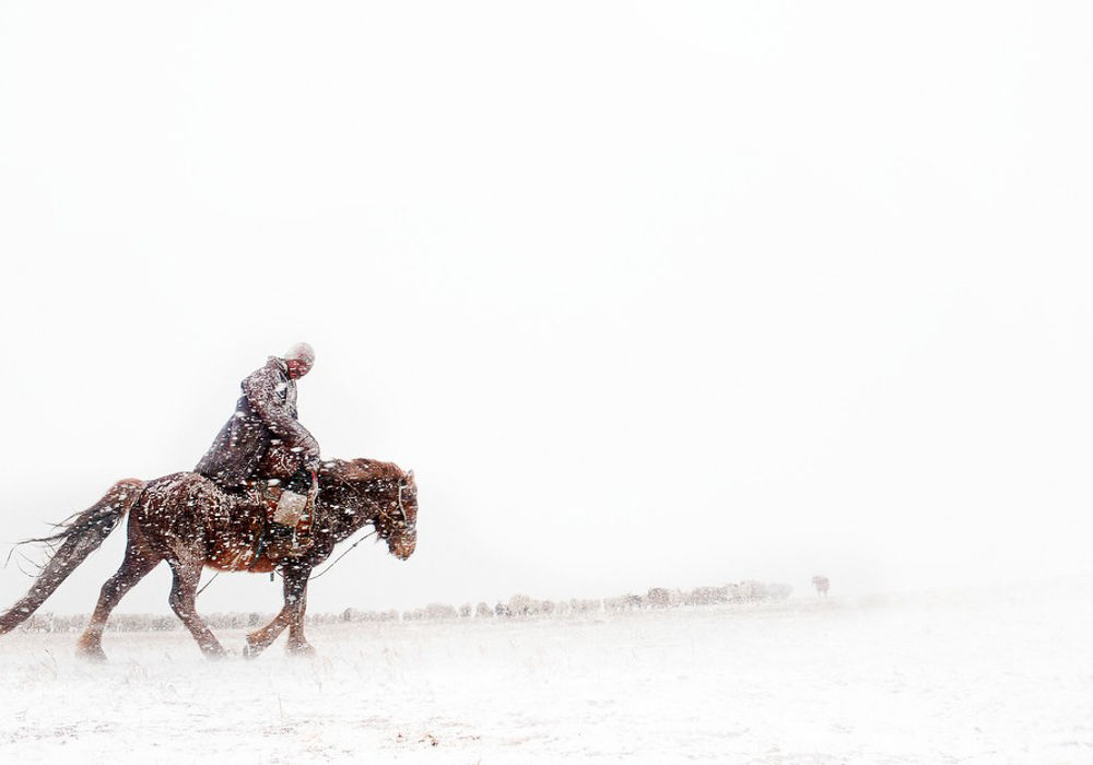 Фотография: Монголы больше не кочевники? №10 - BigPicture.ru