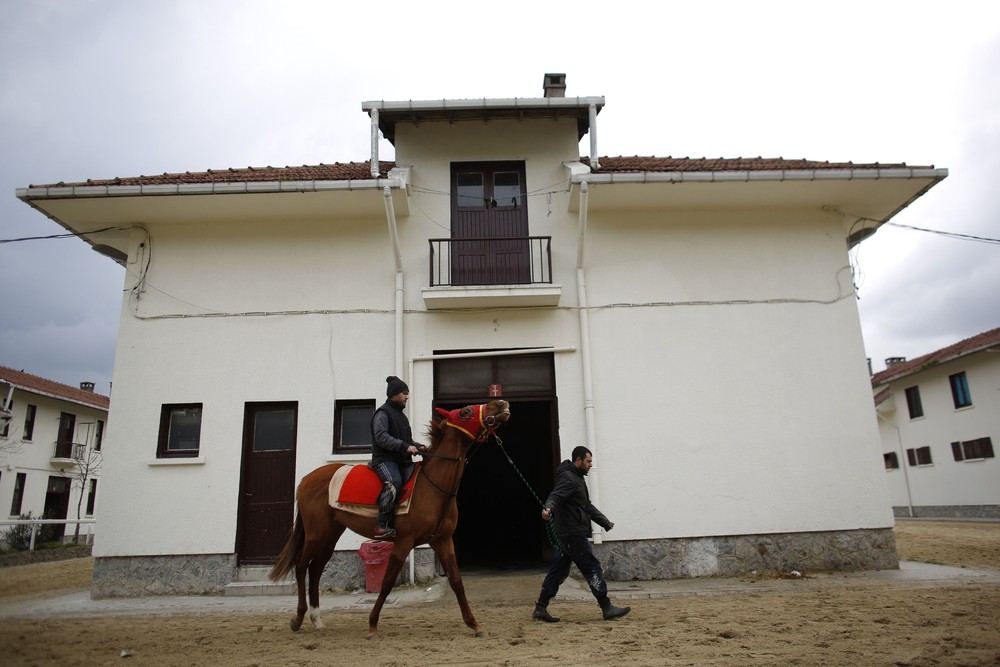 Фотография: Как в Стамбуле лечат скаковых лошадей №2 - BigPicture.ru