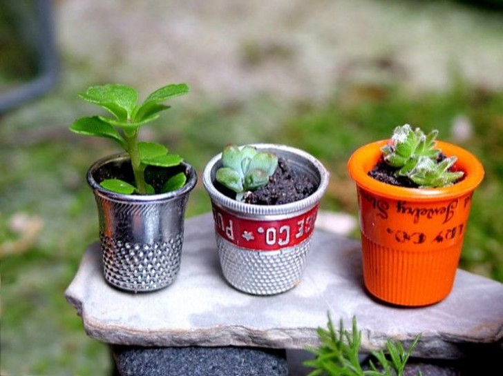 Фотография: 20 маленьких садов, которые поместятся в ладошке №5 - BigPicture.ru