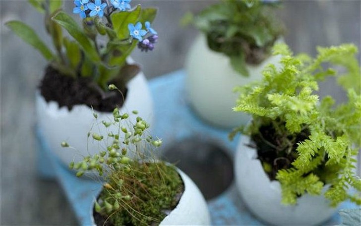 Фотография: 20 маленьких садов, которые поместятся в ладошке №11 - BigPicture.ru
