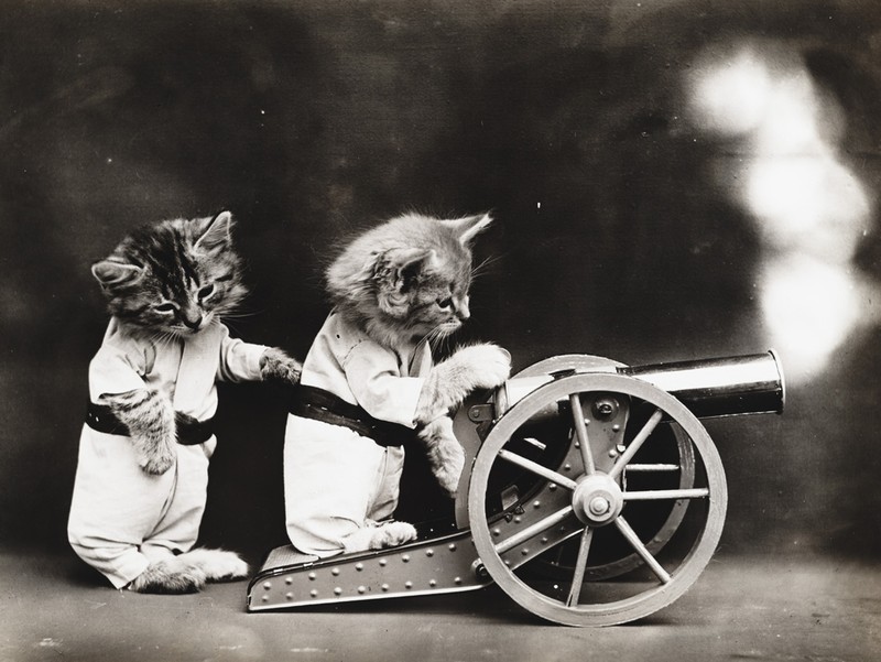 Фотография: Очаровательные винтажные кошки, которые докажут, что коты правили миром во все времена №29 - BigPicture.ru