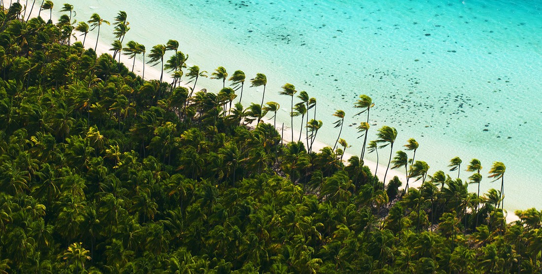Фотография: Частный остров Марлона Брандо во Французской Полинезии №5 - BigPicture.ru