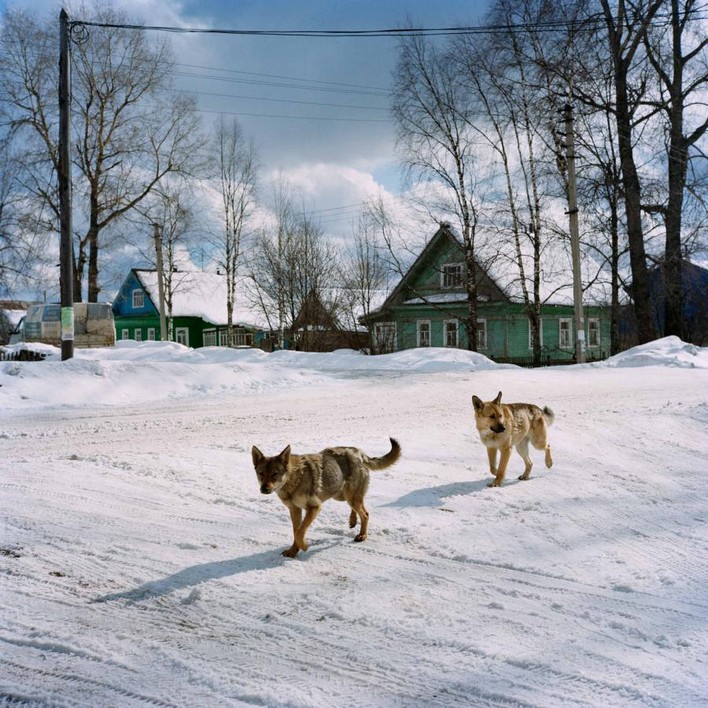 Фотография: Прохладный прием: север России в объективе иностранца №23 - BigPicture.ru
