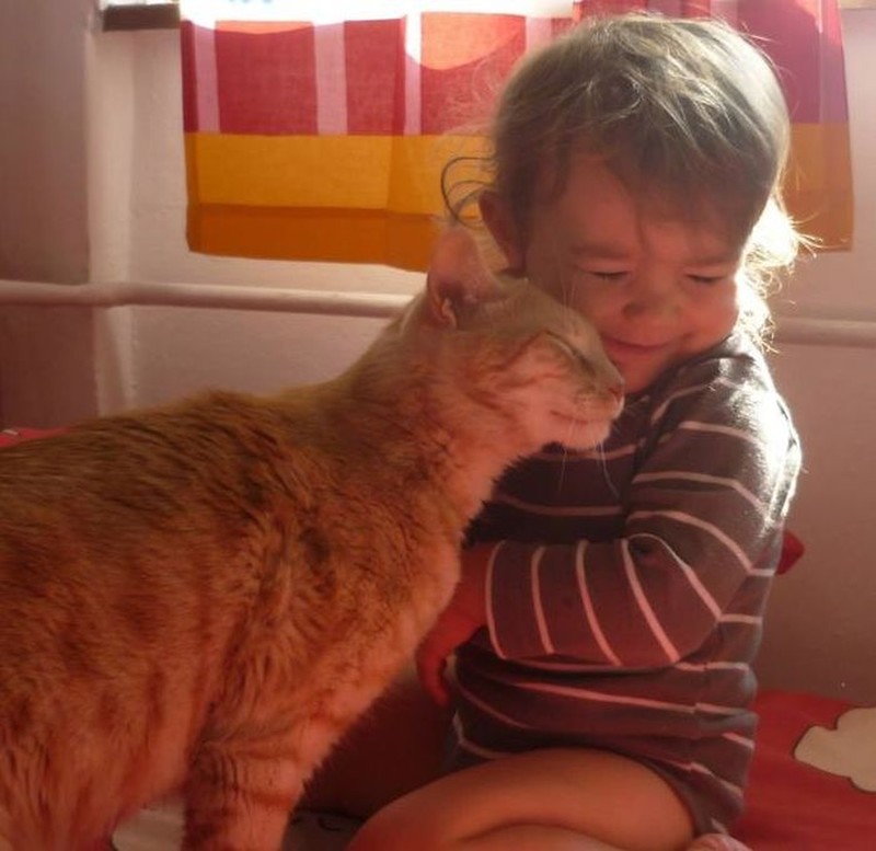 Фотография: Очаровательные фотографии, доказывающие, что вашему ребенку нужен кот №4 - BigPicture.ru