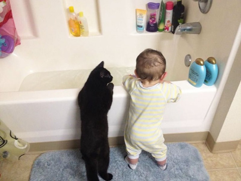 Фотография: Очаровательные фотографии, доказывающие, что вашему ребенку нужен кот №7 - BigPicture.ru