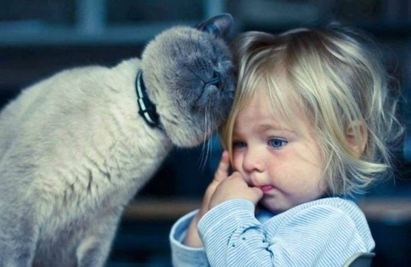 Фотография: Очаровательные фотографии, доказывающие, что вашему ребенку нужен кот №8 - BigPicture.ru