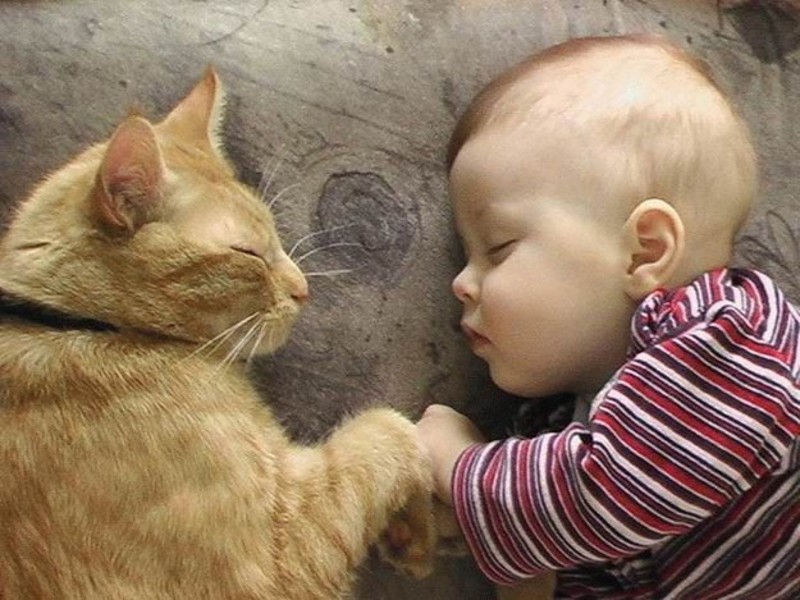 Фотография: Очаровательные фотографии, доказывающие, что вашему ребенку нужен кот №10 - BigPicture.ru