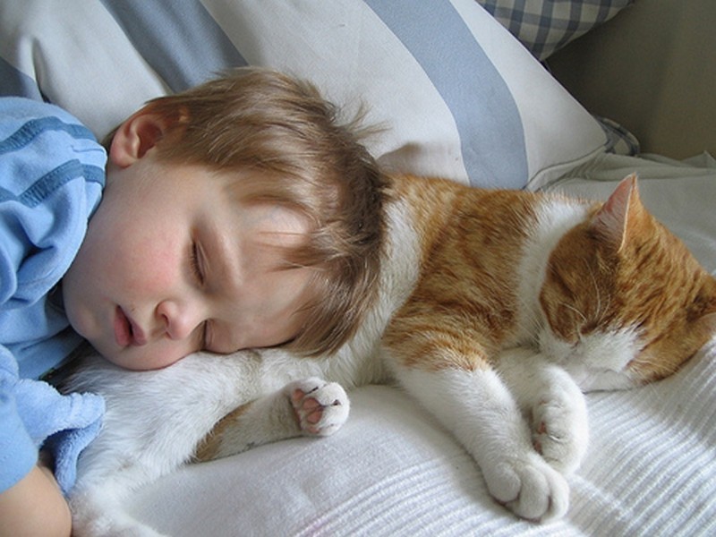Фотография: Очаровательные фотографии, доказывающие, что вашему ребенку нужен кот №11 - BigPicture.ru