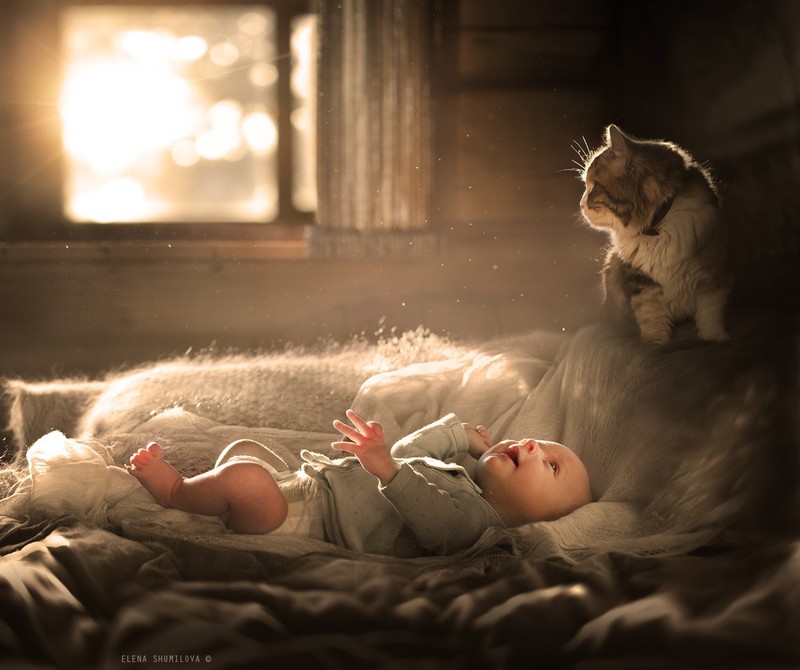 Фотография: Очаровательные фотографии, доказывающие, что вашему ребенку нужен кот №15 - BigPicture.ru