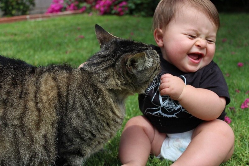 Фотография: Очаровательные фотографии, доказывающие, что вашему ребенку нужен кот №19 - BigPicture.ru