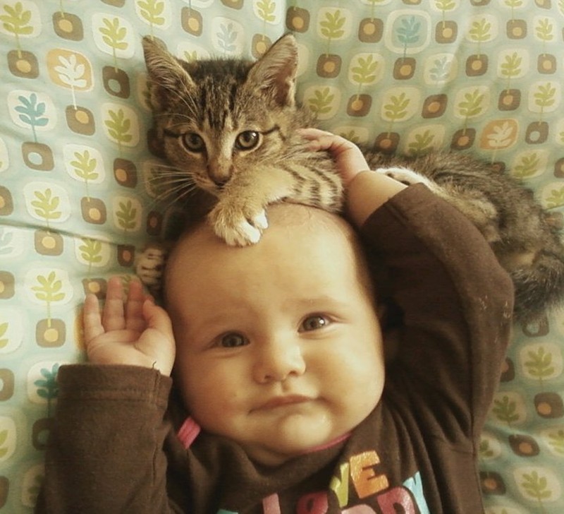 Фотография: Очаровательные фотографии, доказывающие, что вашему ребенку нужен кот №20 - BigPicture.ru