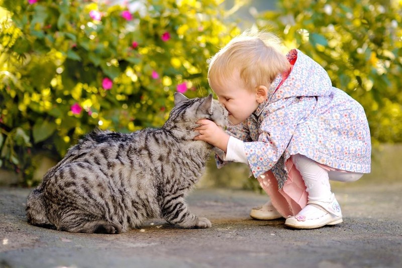 Фотография: Очаровательные фотографии, доказывающие, что вашему ребенку нужен кот №21 - BigPicture.ru
