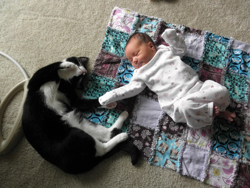 Фотография: Очаровательные фотографии, доказывающие, что вашему ребенку нужен кот №22 - BigPicture.ru