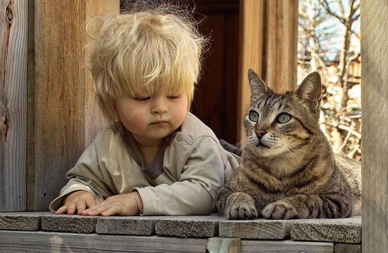 Фотография: Очаровательные фотографии, доказывающие, что вашему ребенку нужен кот №23 - BigPicture.ru