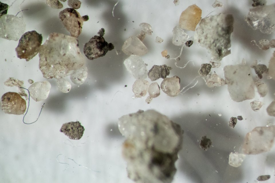 Фотография: Как выглядит ваша домашняя пыль под микроскопом №2 - BigPicture.ru