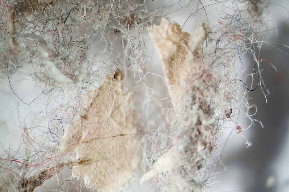 Фотография: Как выглядит ваша домашняя пыль под микроскопом №3 - BigPicture.ru
