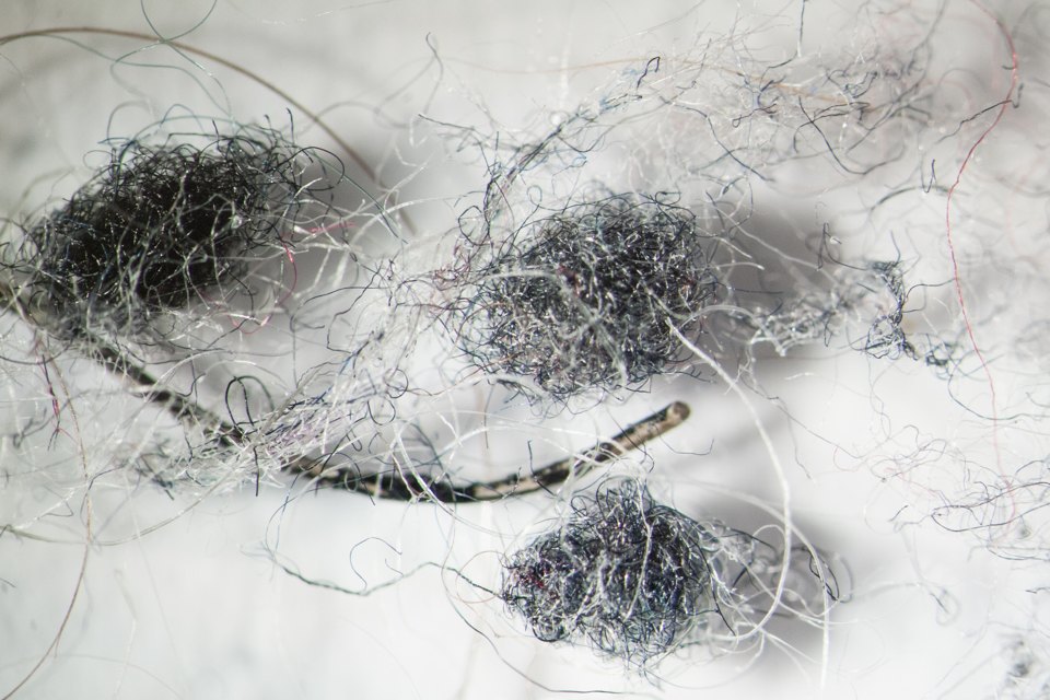 Фотография: Как выглядит ваша домашняя пыль под микроскопом №4 - BigPicture.ru
