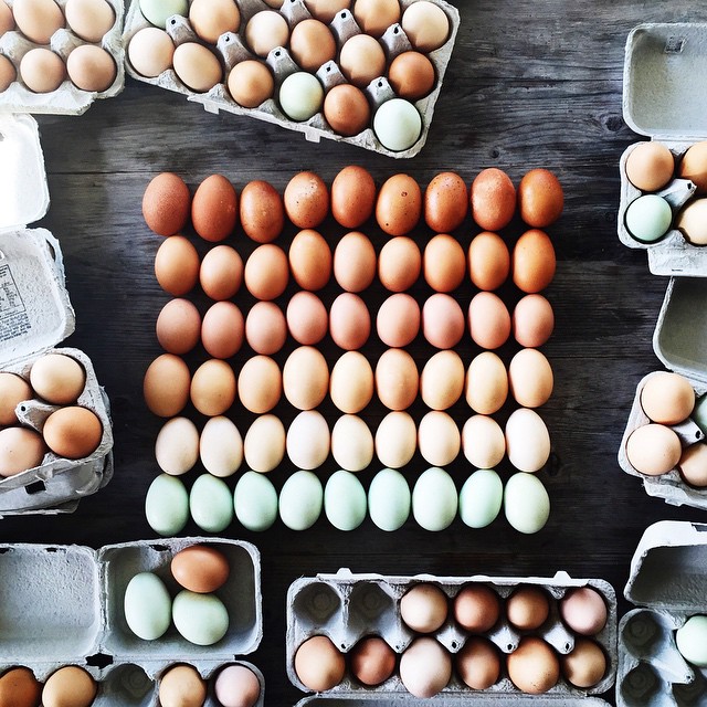 Фотография: Пользователь Instagram превращает еду в радужные картины №1 - BigPicture.ru