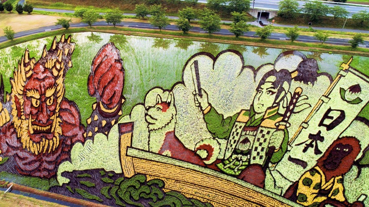 Фотография: Искусство тамбо — невероятные картины на рисовых полях Японии №3 - BigPicture.ru