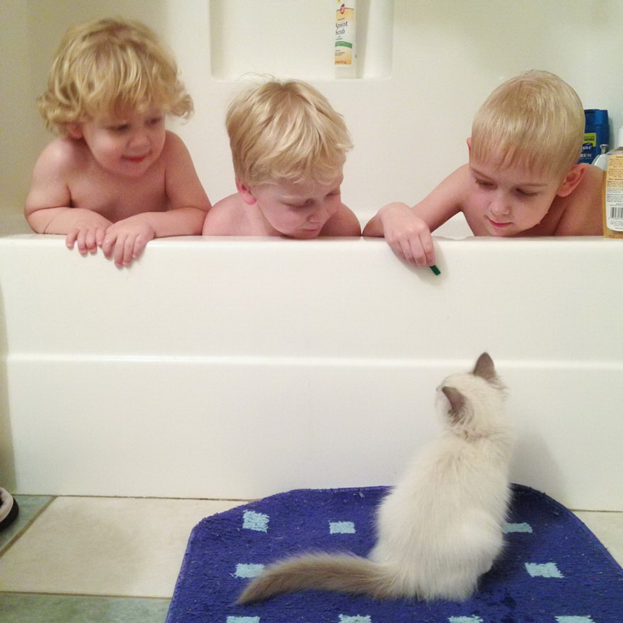 Фотография: 3 + 2. Дети и кошки на фотографиях Бет Манкузо №2 - BigPicture.ru