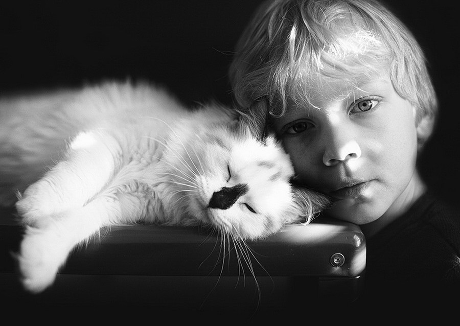 Фотография: 3 + 2. Дети и кошки на фотографиях Бет Манкузо №11 - BigPicture.ru