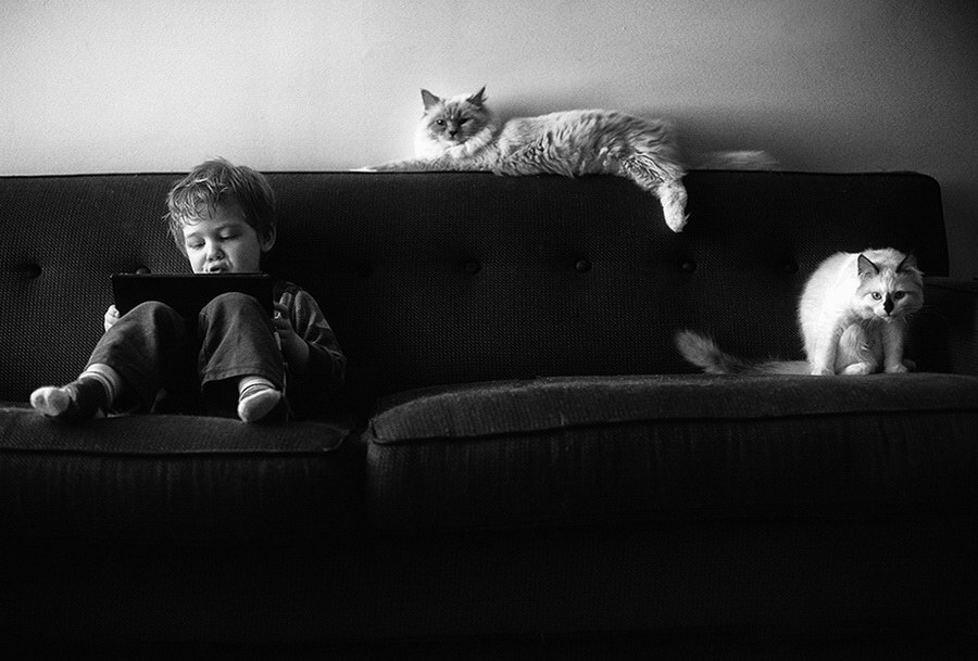 Фотография: 3 + 2. Дети и кошки на фотографиях Бет Манкузо №15 - BigPicture.ru