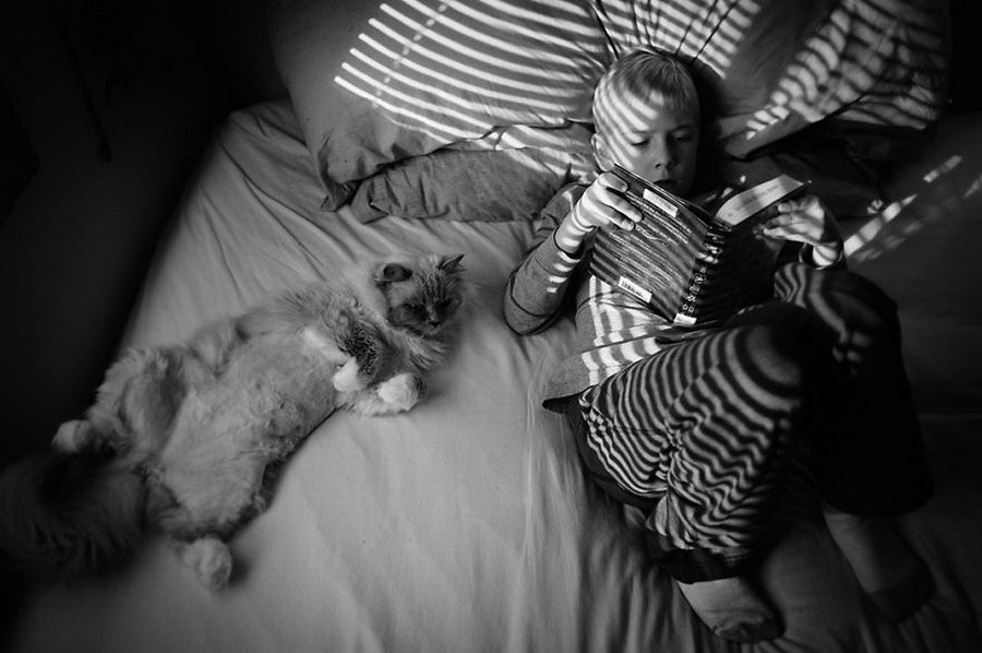 Фотография: 3 + 2. Дети и кошки на фотографиях Бет Манкузо №19 - BigPicture.ru