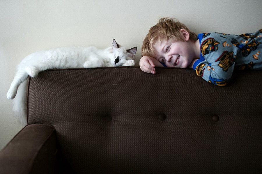 Фотография: 3 + 2. Дети и кошки на фотографиях Бет Манкузо №25 - BigPicture.ru