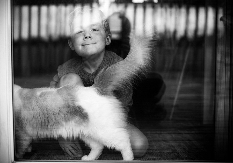 Фотография: 3 + 2. Дети и кошки на фотографиях Бет Манкузо №26 - BigPicture.ru