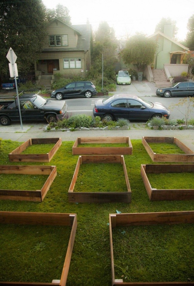 Фотография: Всего за 60 дней этот парень вырастил крутой сад перед домом №2 - BigPicture.ru