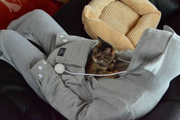 Фотография: В кенгуруподобном худи вы можете не расставаться со своим котом №2 - BigPicture.ru